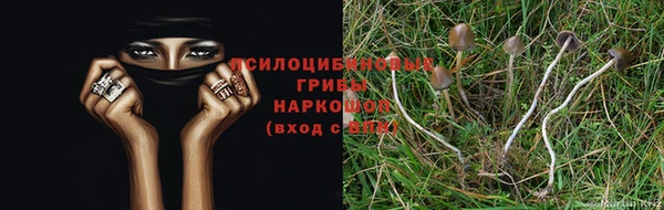 спиды Абинск
